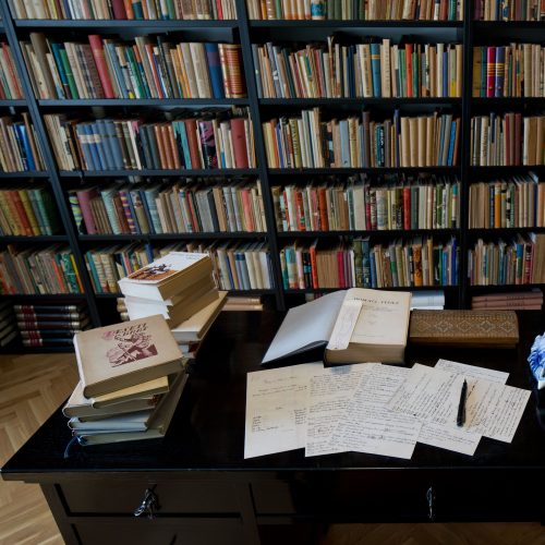 Foto: Boštjan Pucelj