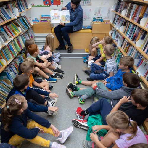 Potujoča knjižnica