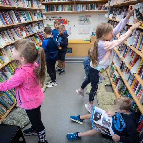 Potujoča knjižnica