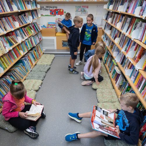 Potujoča knjižnica