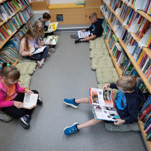 Potujoča knjižnica