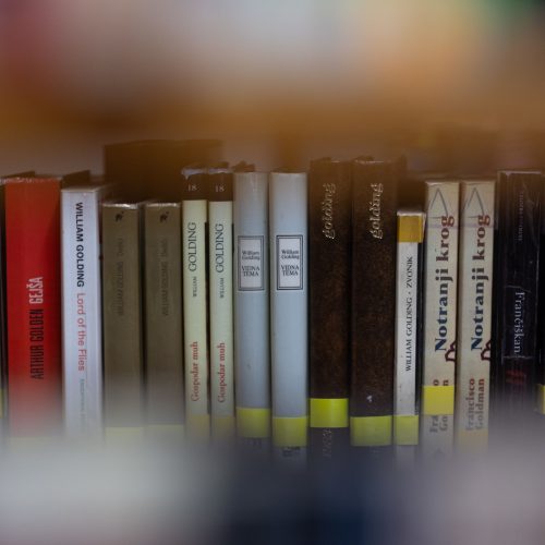 Slika dogodka Prevzetost in pristranskost – o vplivu angleščine in kalkiranju