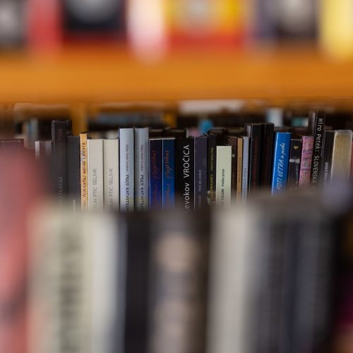 Slika dogodka Zoran Predin: Cirkus Astralis