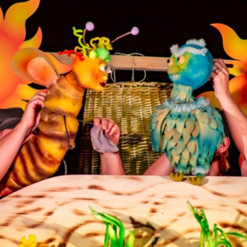 Slika dogodka Čebela Medela