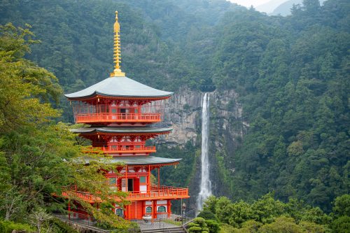 Slika dogodka Barbara Vidmajer in Črt Jaklič: Japonska