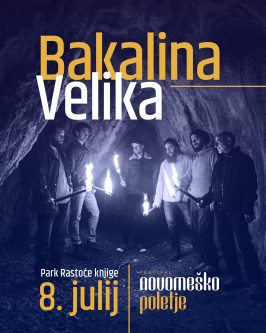 Slika dogodka Koncert Bakalina Velika